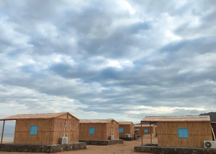 Casablanca Camp *